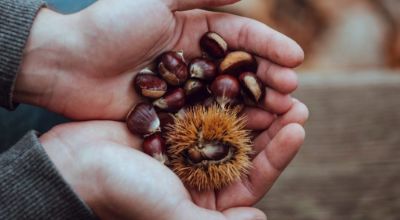 Foto_Castagne Foto_Castagne